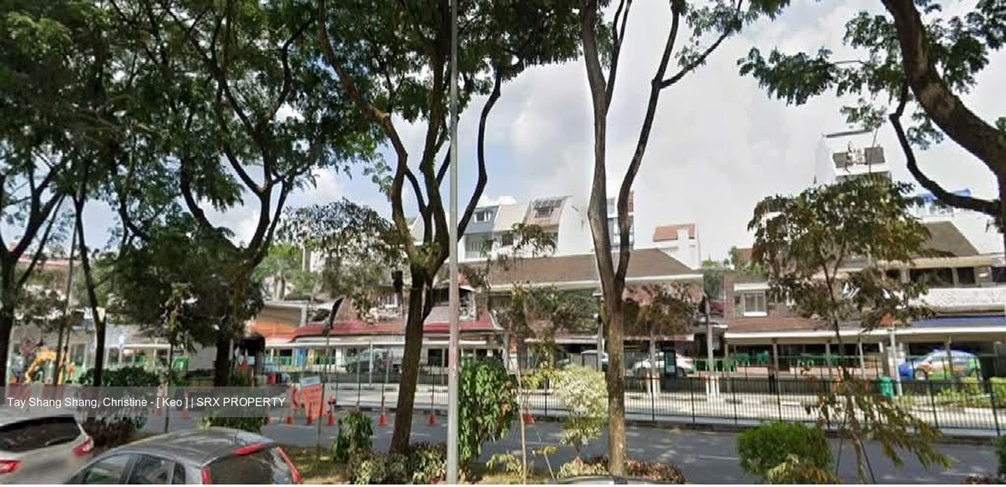 Bukit Timah Shopping Centre (D21), Shop House #544602041